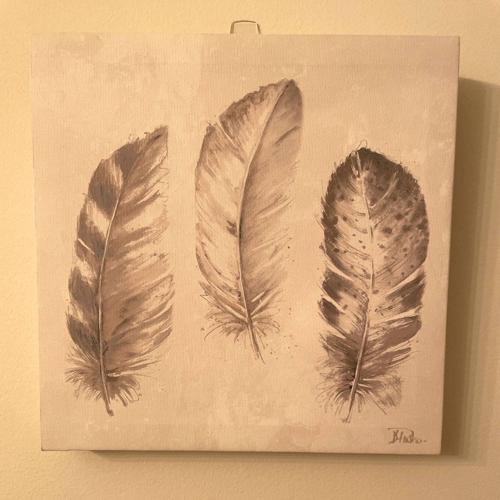 Square Feather Picture